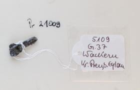 Eisenfragment