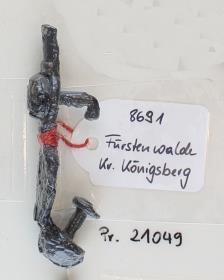 Schildfessel