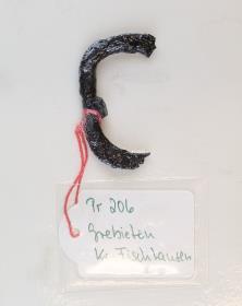 Gürtelschnallenfragment