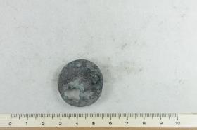 Scheibenfibel