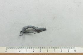 Armbrustfibel