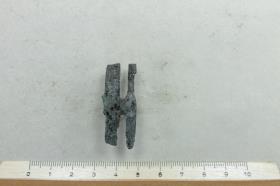 Armbrustsprossenfibel