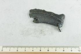 Fibelfragment
