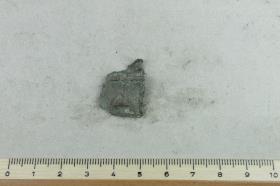 Fibelfragment