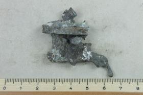 Fibelfragment