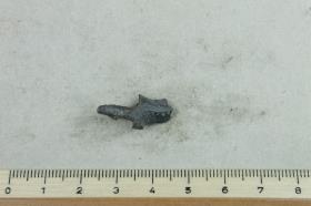 Fibelfragment