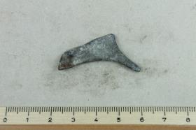 Fibelfragment