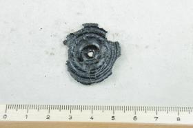 Scheibenfibel