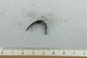 Fingerring