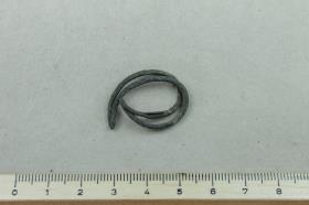 Fingerring