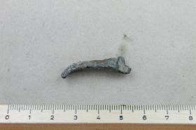 Gürtelschnallenfragment
