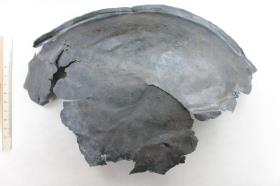 Schalenfragment