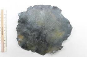 Schalenfragment