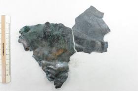 Schalenfragment