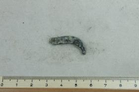 Gürtelschnallenfragment