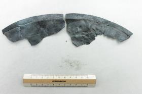 Schalenfragment