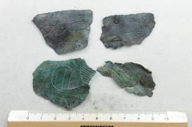 Schalenfragment