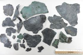 Schalenfragment