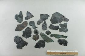 Schalenfragment
