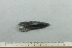 Silex