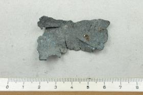 Schalenfragment