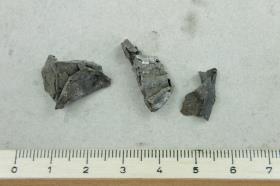 Silberfragment
