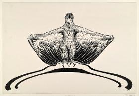 Adler mit ausgebreiteten Schwingen