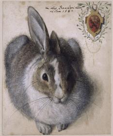 Ein liegender Hase, von vorn gesehen, mit einem Wappen