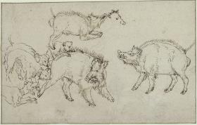 Wildschweine und Hunde