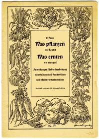 Was pflanzen wir heute? Was ernten wir morgen?
