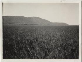 Morro do Triumpho (mit Felszeichnungen) bei der Einmündungsstelle des S. Lourenço in den Paraguay
