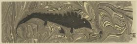 Marmorpapier (mit Reptilmotiv)