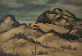 Dünenlandschaft