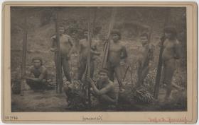 Jamamadi (Yamamadí)