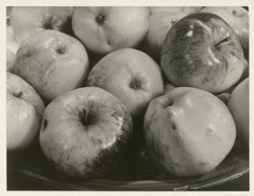 Äpfel