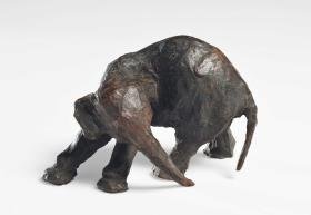 Kleiner Elefant