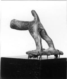 Tier (Hinterteil)