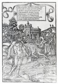 Herkules-Zyklus: Herkules tötet Nessus