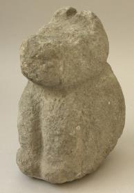 Koyote
