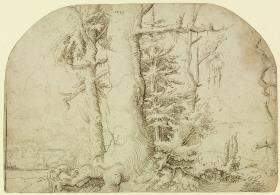 Landschaft mit Eichen
