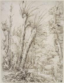 Landschaft mit Weiden