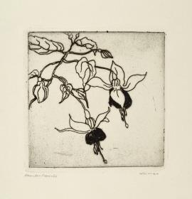 Fuchsien