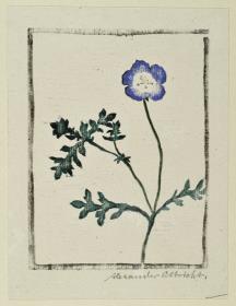 Blumen