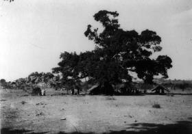 Lager Shinyanga