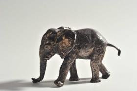 Junger Elefant