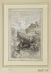 Landschaft mit Gebüsch und Riedgras, im Hintergrund rechts eine Anhöhe