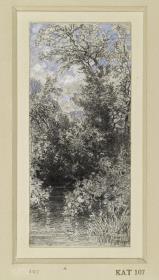 Bäume und Gebüsch am stehenden Wasser