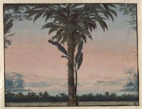 Athalia. Oper von Johann Nepomuk von Poissl. Entwurf zur 4. Dekoration. Garten des Hohepriesters mit großer Palme vor einer Wasserfläche