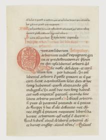Initiale Q(uoniam), Anselm von Canterbury, De libertate arbitrii, England