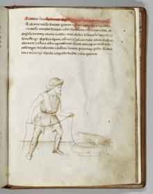 Traktat des Dottore Danchi. De arte venandi cum avibus. Ein Knecht hält einen an einem Badebecken sitzenden Falken an der Leine